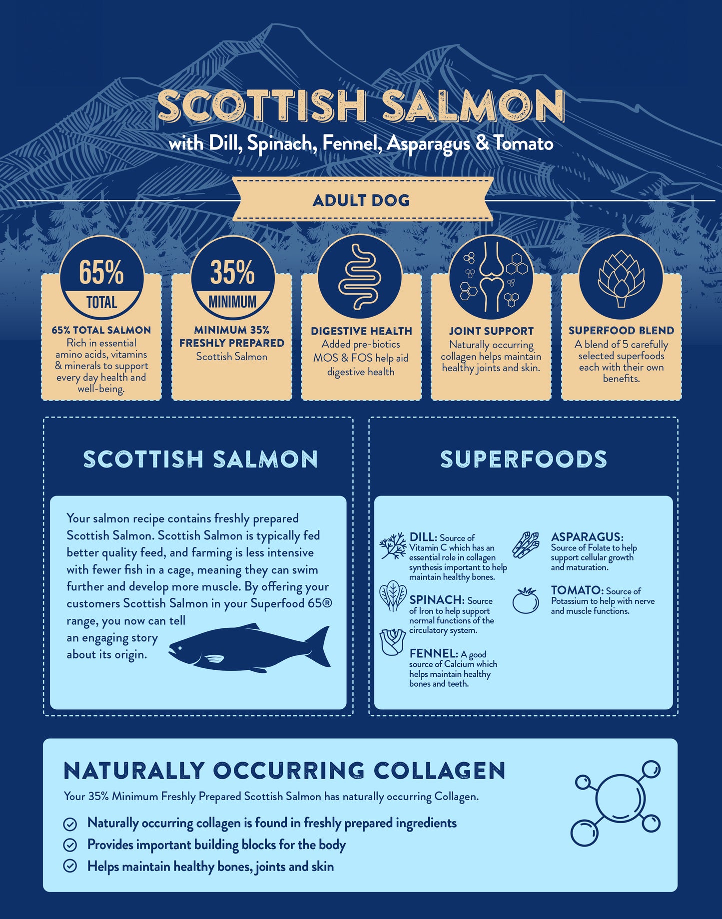 Superfood65 SF65 Scottish Salmon for Adult Dogs 12kg