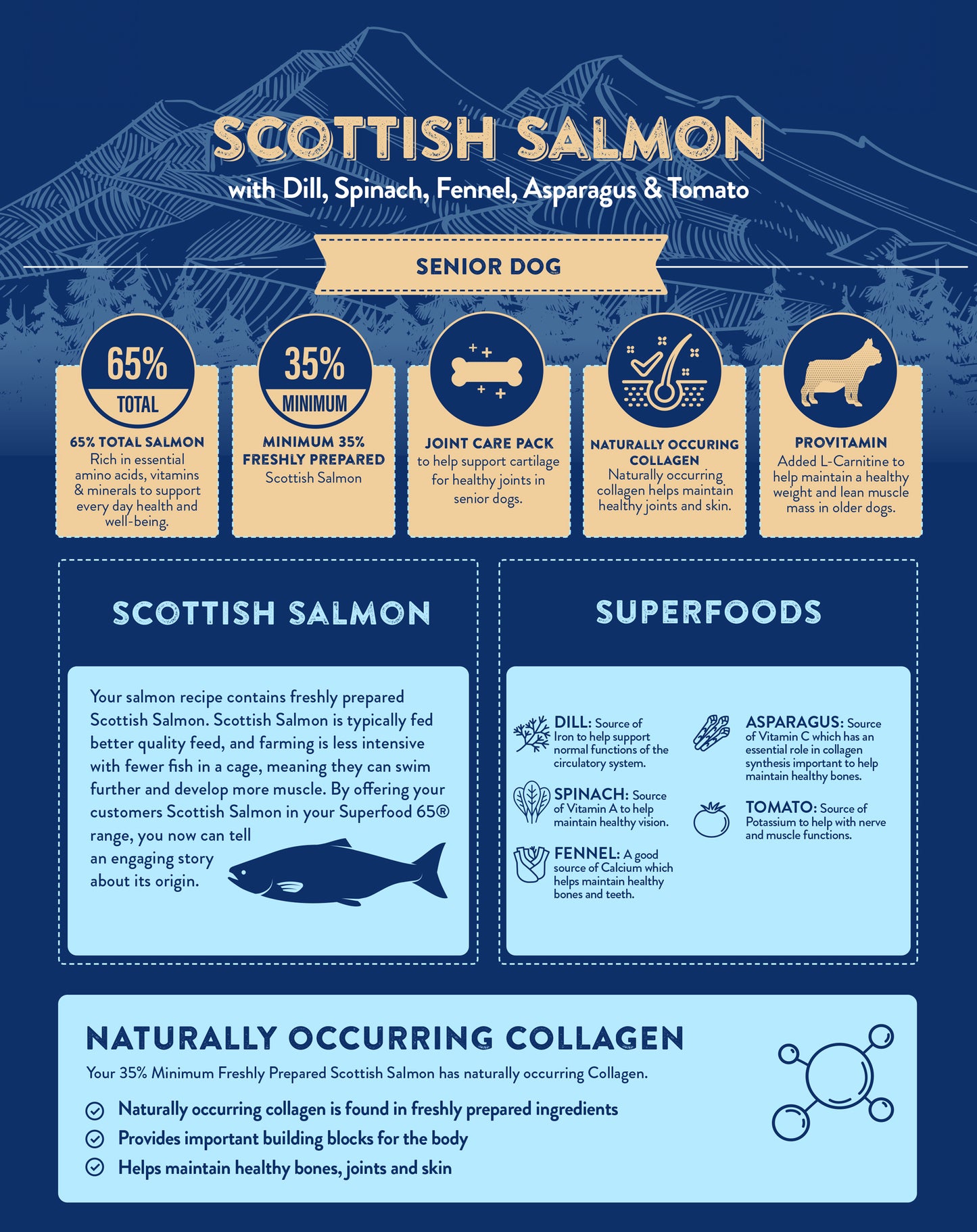 Superfood65 SF65 Scottish Salmon for Senior Dogs 12kg