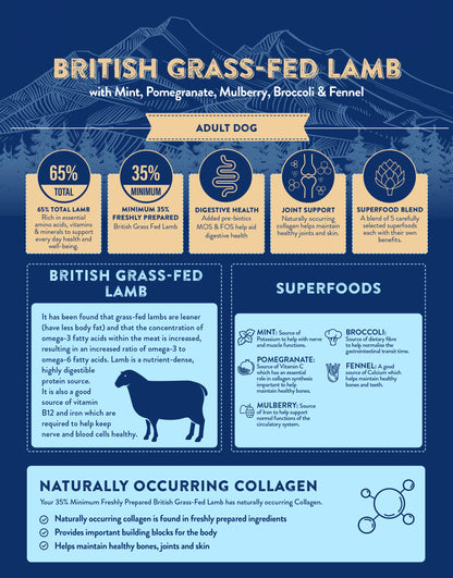 Superfood65 SF65 British Grass Fed Lamb for Adult Dogs 12kg