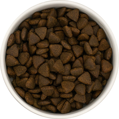 Superfood65 SF65 Scottish Salmon for Adult Dogs 12kg